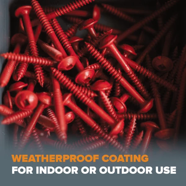 BORA 800-Piece Pocket-Hole Screw Kit Fine | BR-A180403 - Image 5